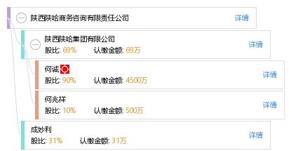 陕西陕哈商务咨询有限责任公司