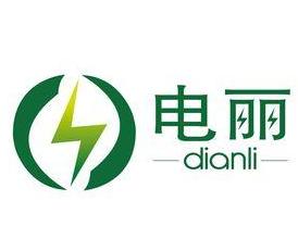 北京电丽商务咨询