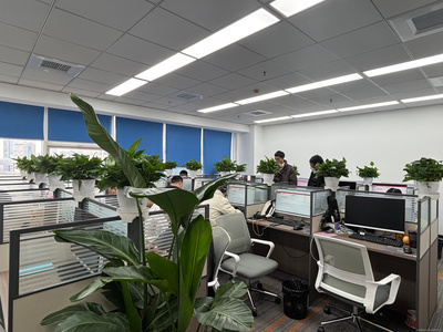 上海屹坦商务咨询 专业服务助力企业高效发展